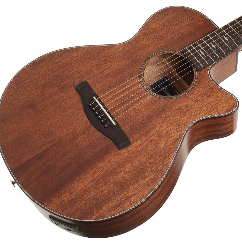 Ibanez AEG220-LGS Acoustic Guitar w/ EQ