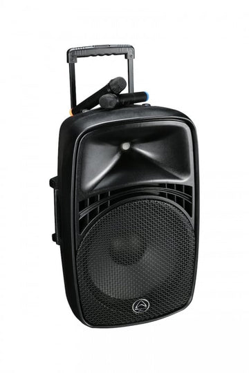 Wharfedale EZ 12A