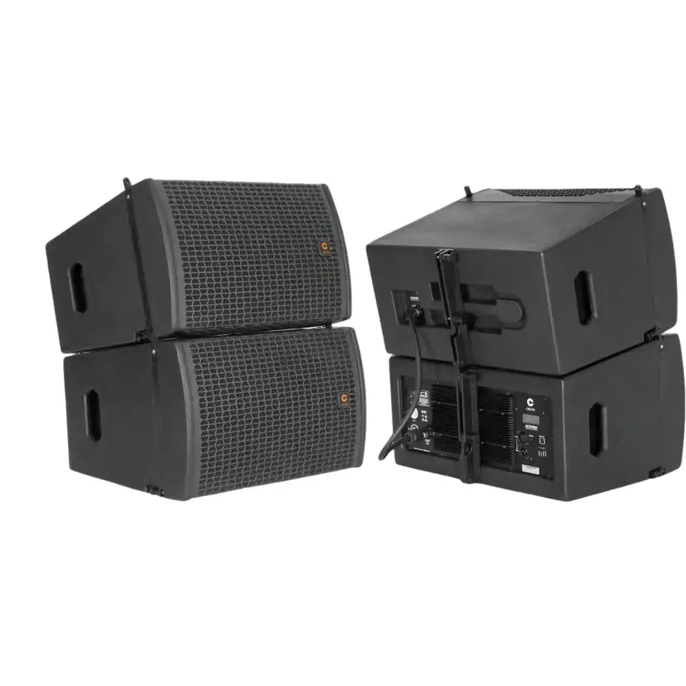 Celto Acoustique ACS10 with ACS218 Combo | Sound Select ZA