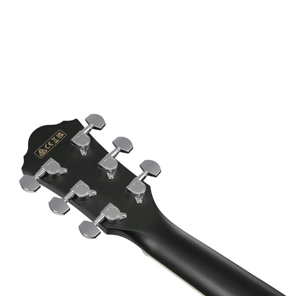 Demo AEG7MH-WK Ibanez Acoustic Guitar