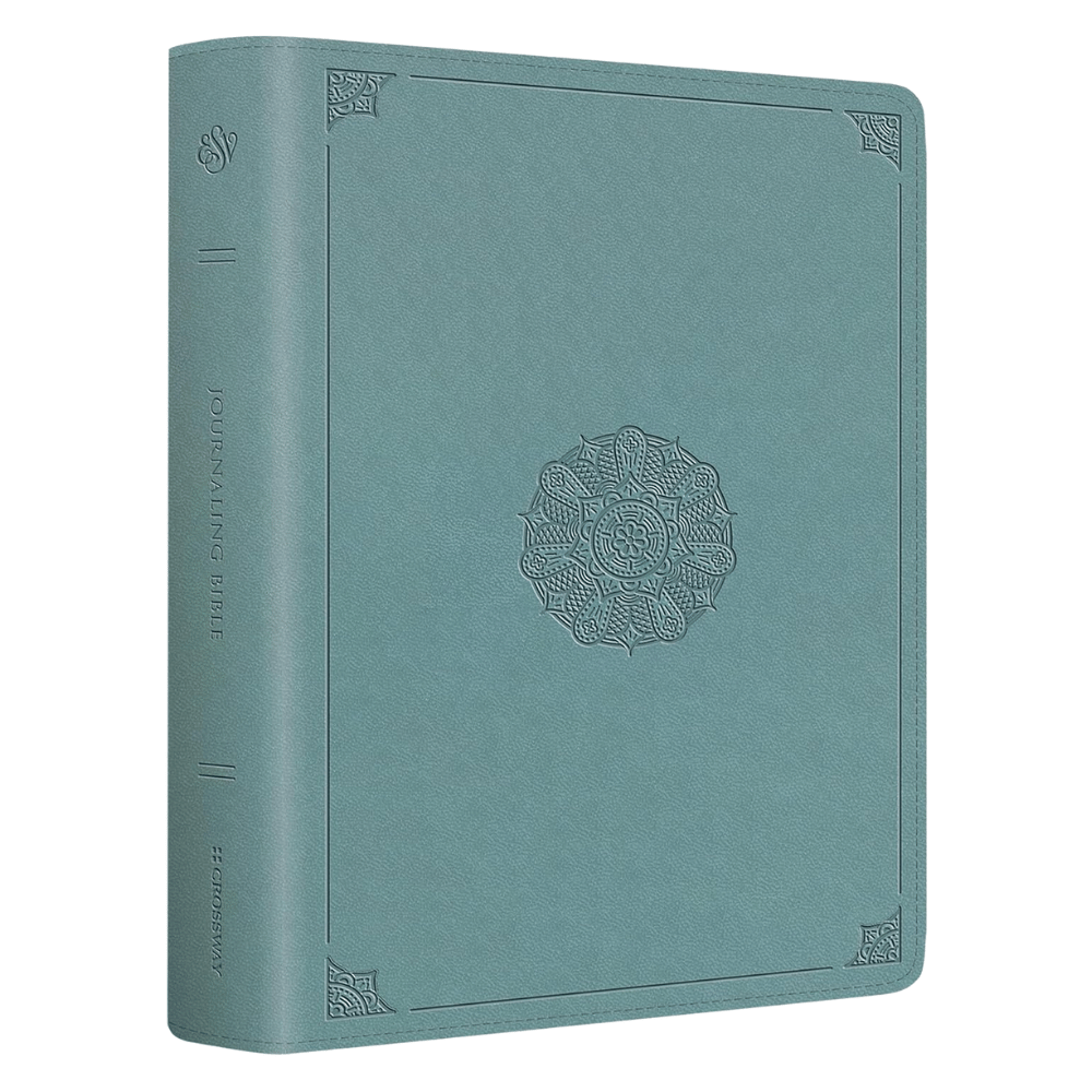 ESV Journaling Bible Trutone Paris Sky Emblem Design (OPEN BOX, NO WARRANTY)