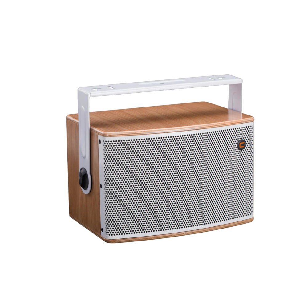 CELTO iFIX10 NAT 2WAY SATELITE SPEAKER