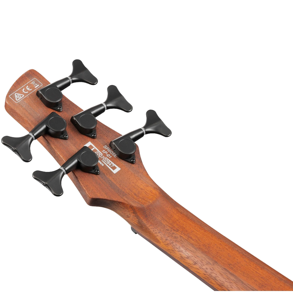 Close-up of a guitar neck with tuning pegs on a white background