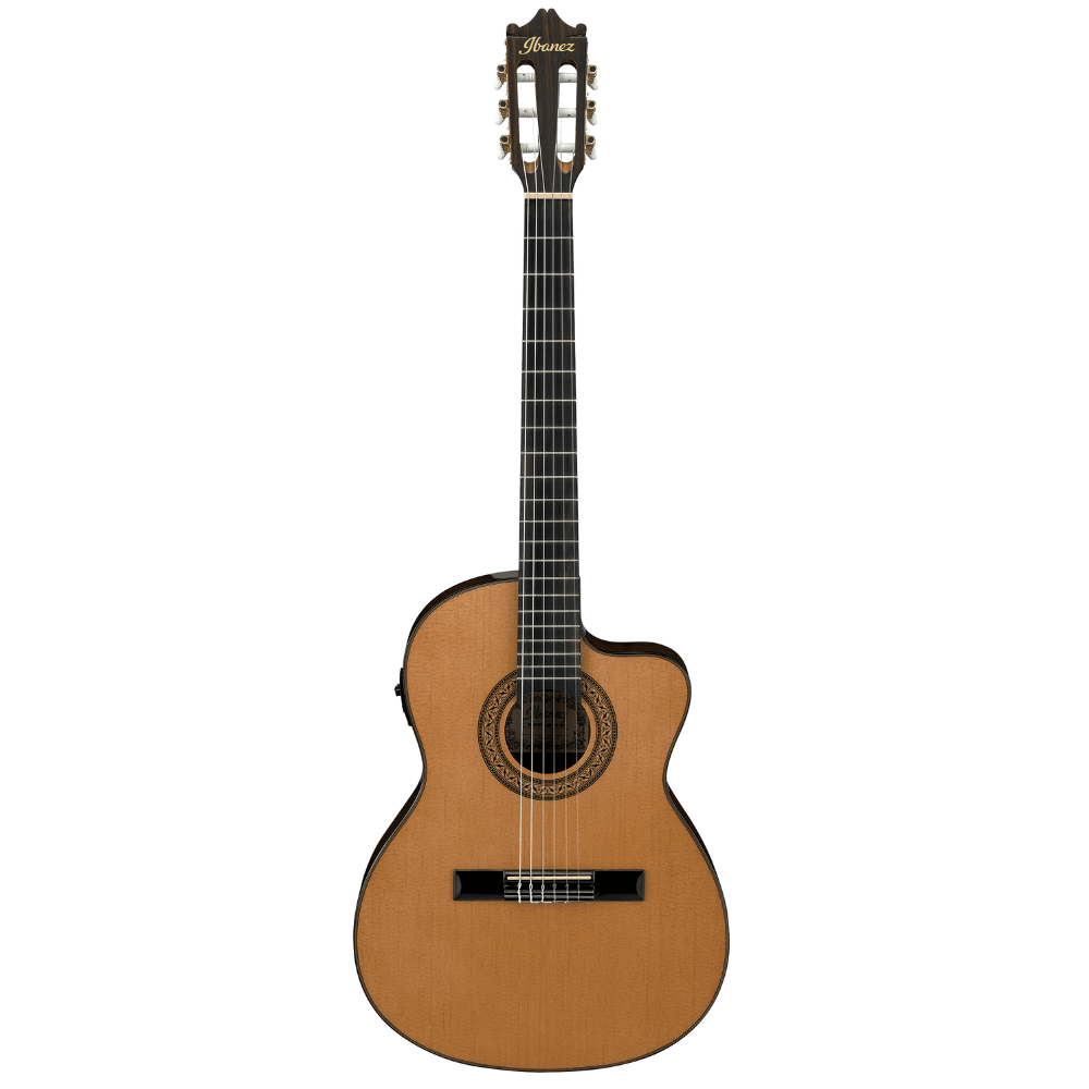 Acoustic guitar with a cutaway on a white background