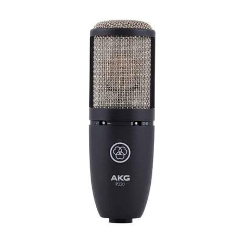 Secondhand AKG P220