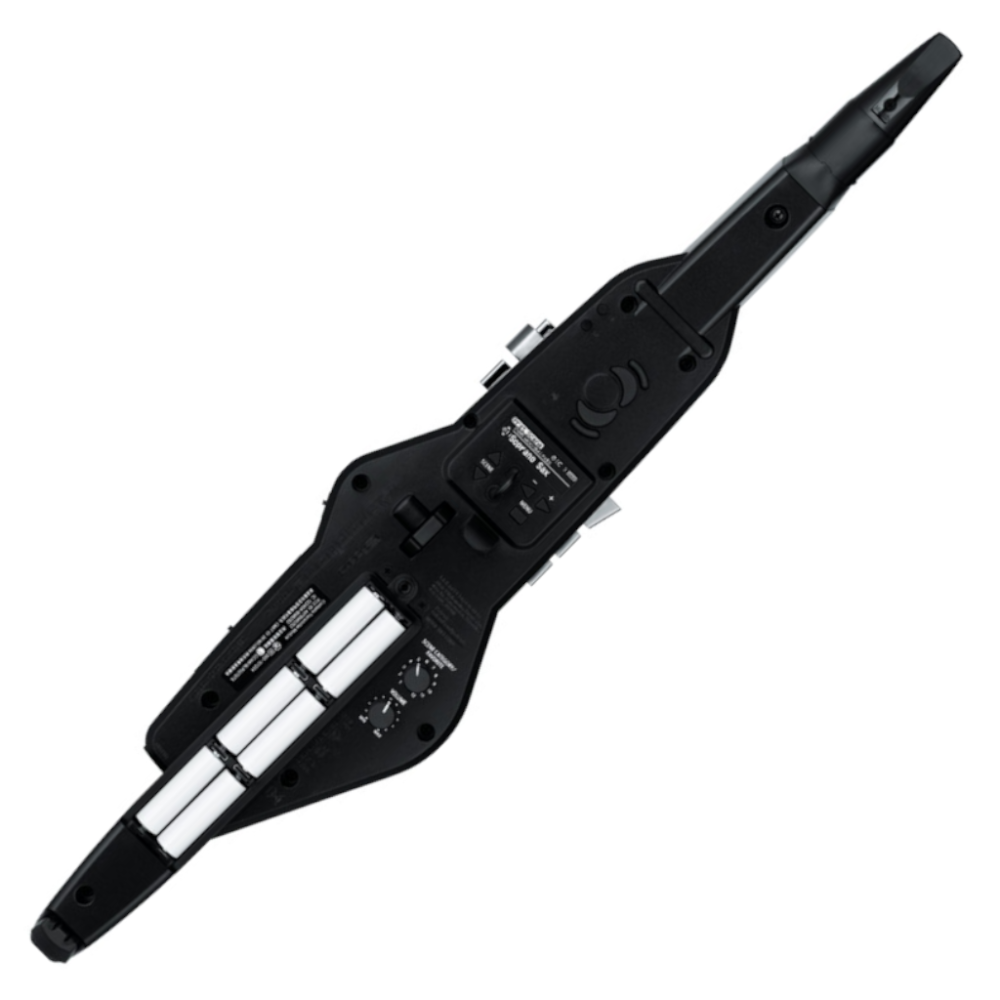 Roland Aerophone AE-20 Digital Wind Instrument