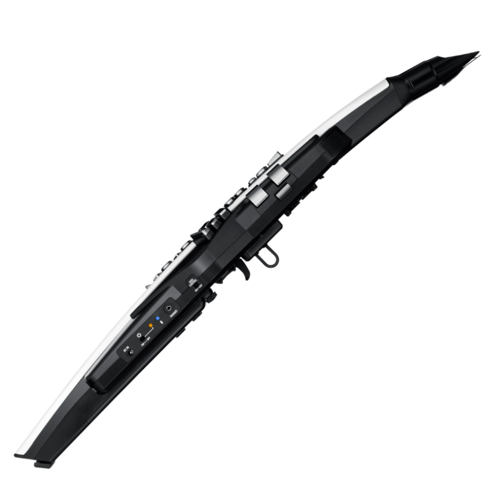 Roland Aerophone AE-20 Digital Wind Instrument