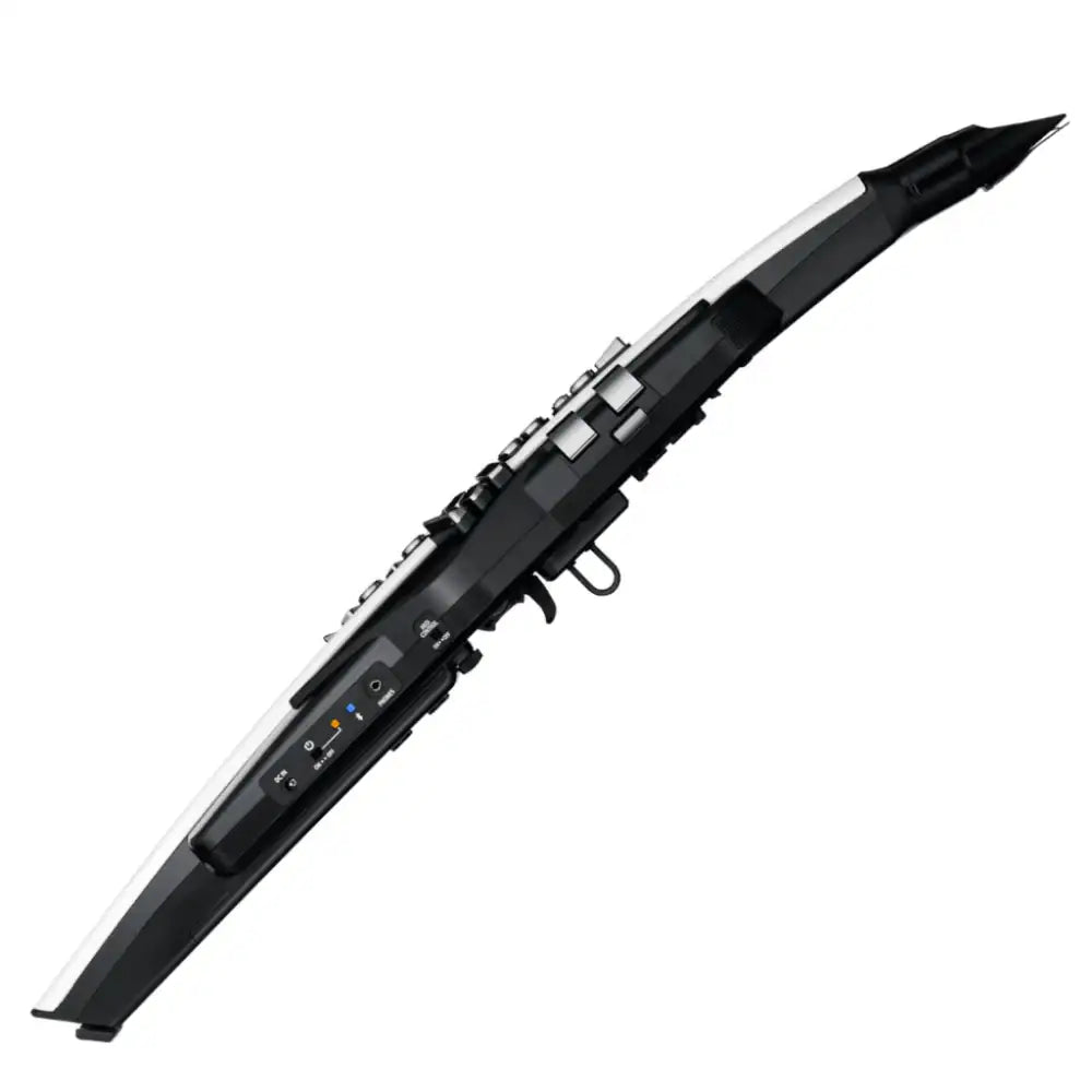 Roland Aerophone AE-20 Digital Wind Instrument | Sound Select ZA