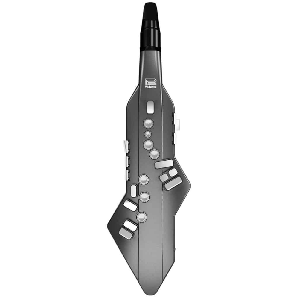 Digital Wind Instrument  with Roland branding on a white background