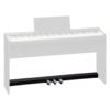 pedal unit  on a white background