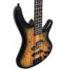 Demo Ibanez Gio GSR200SM-NGT