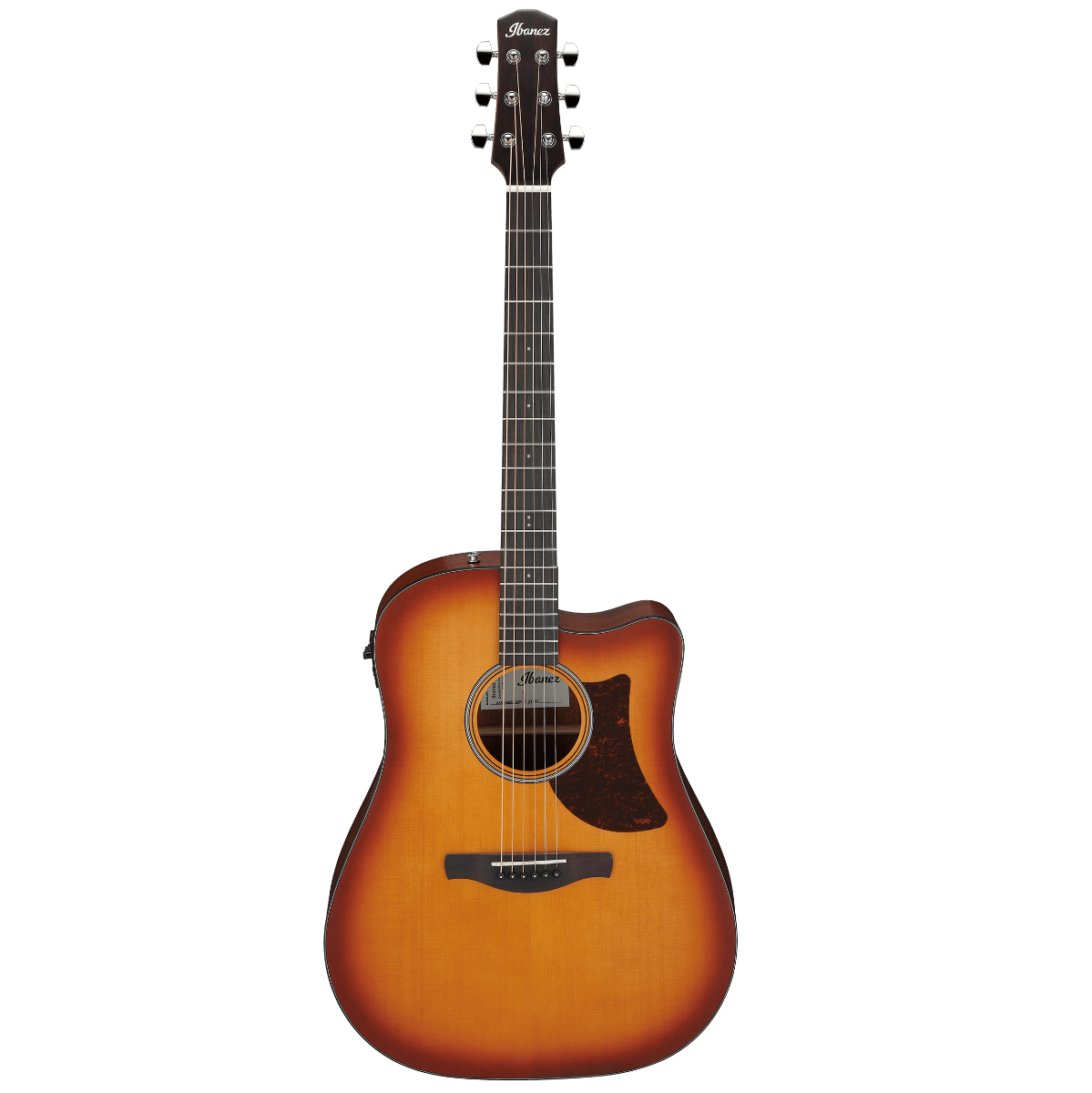 Ibanez AAD50CE-LBS