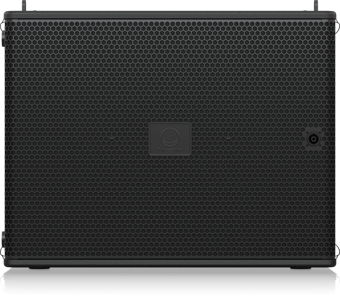 Turbosound MS121